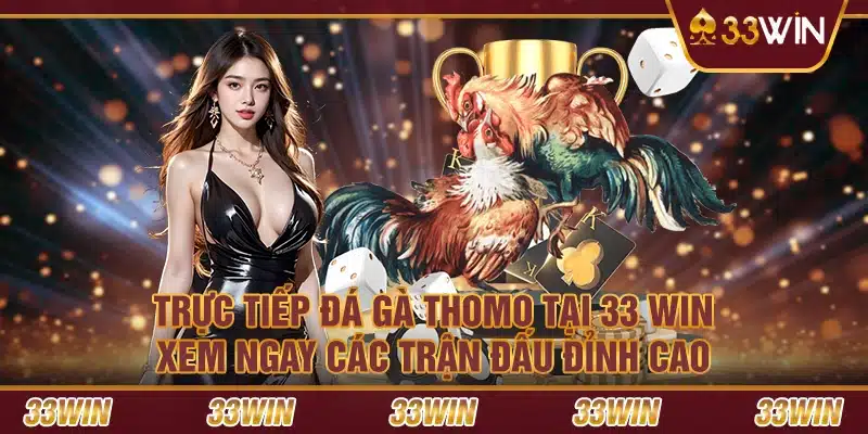 Trực tiếp đá gà Thomo tại 33 Win – Xem ngay các trận đấu đỉnh cao